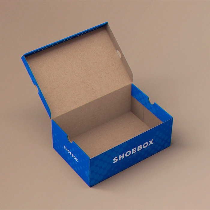 Cardboard Shoe Boxes