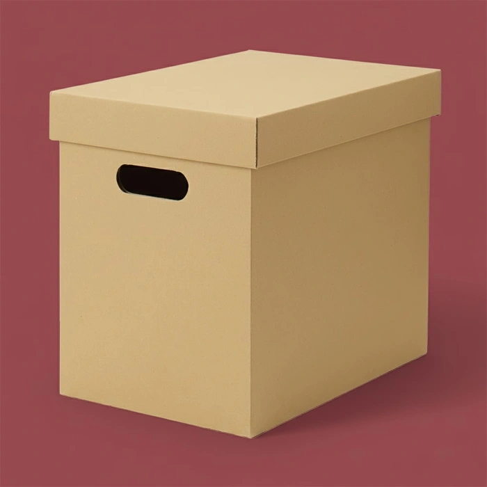 Cardboard Storage Boxes